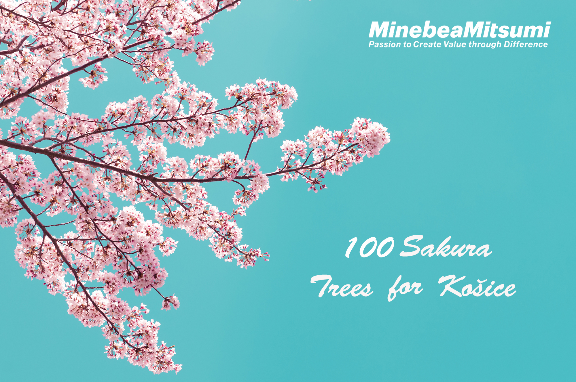 Sakura Campaign Slovakia